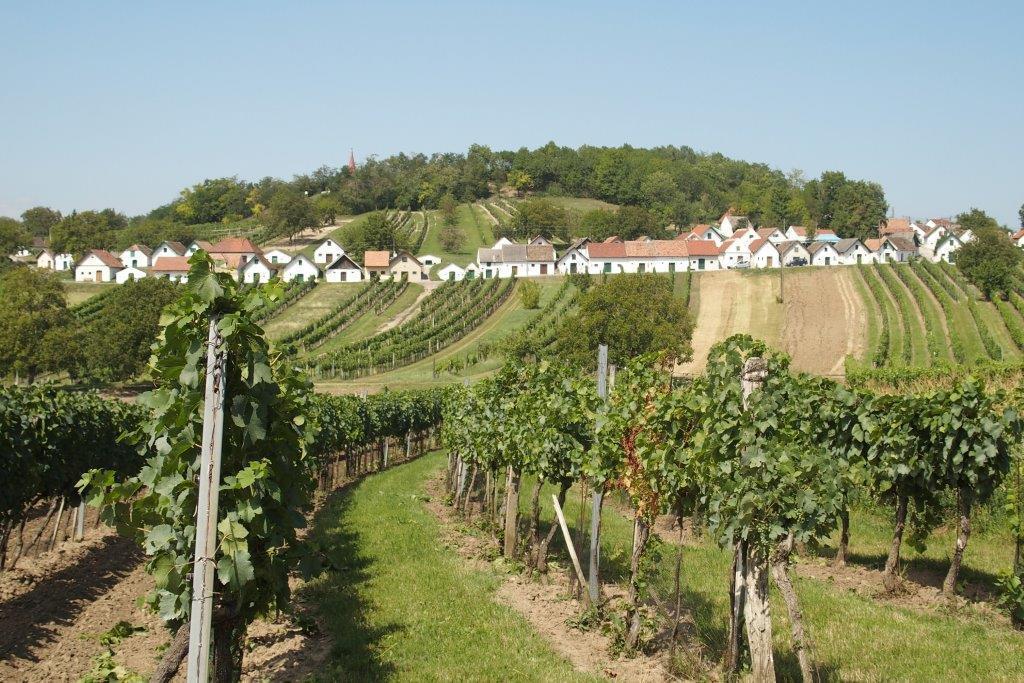 Gaestehaus Weinviertel - Niederoesterreich Siebenhirten Exteriér fotografie